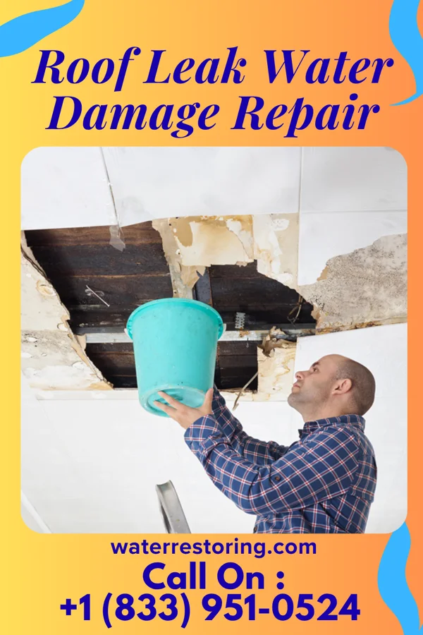 Roof Leak Water Damage Repair in Blair, WI