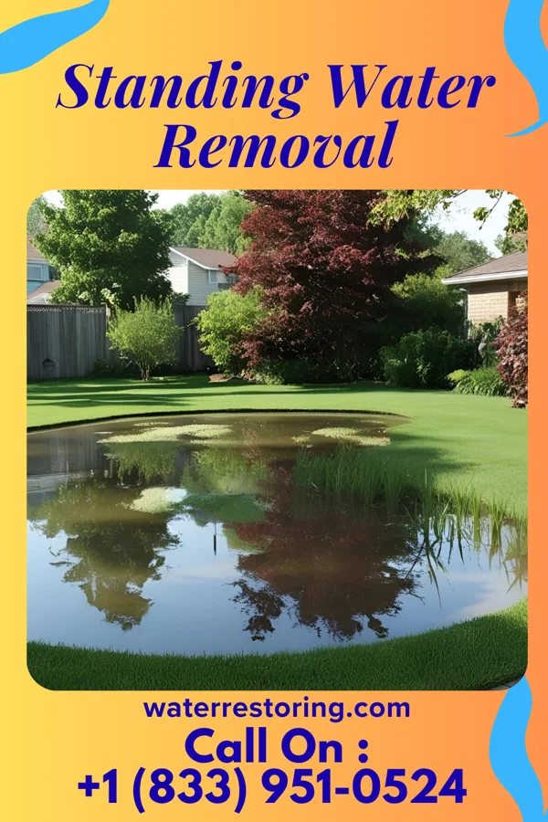 Standing Water Removal in Blair, WI